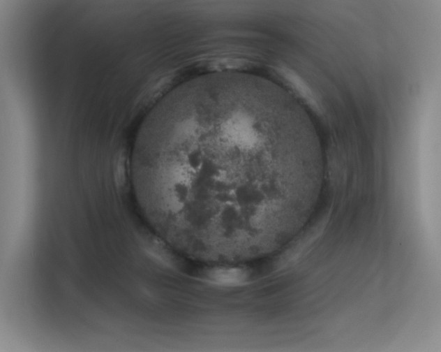 X0000113240169200909101415