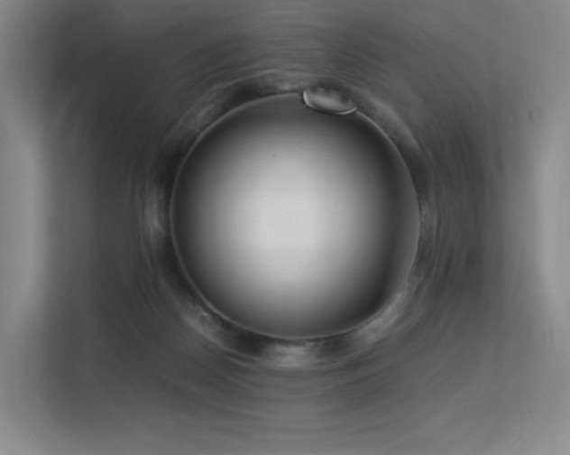 X0000113240170200909101415