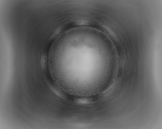 X0000113240171200909101415