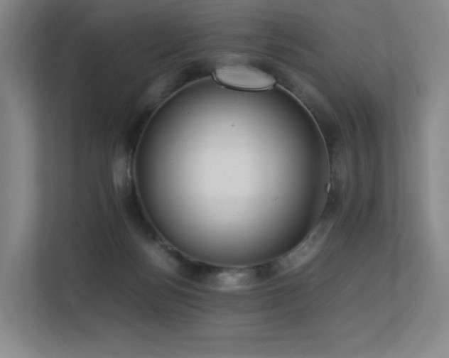 X0000113240172200909101415