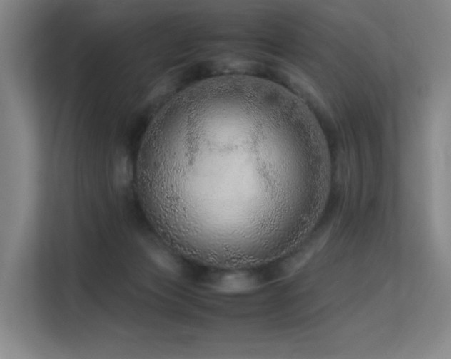 X0000113240173200909101415