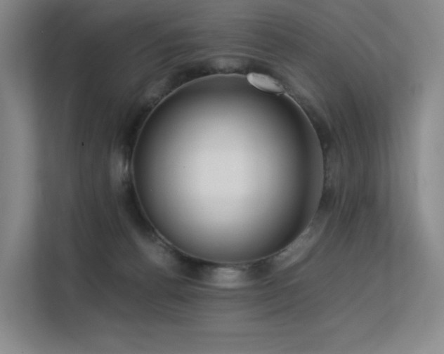 X0000113240176200909101415