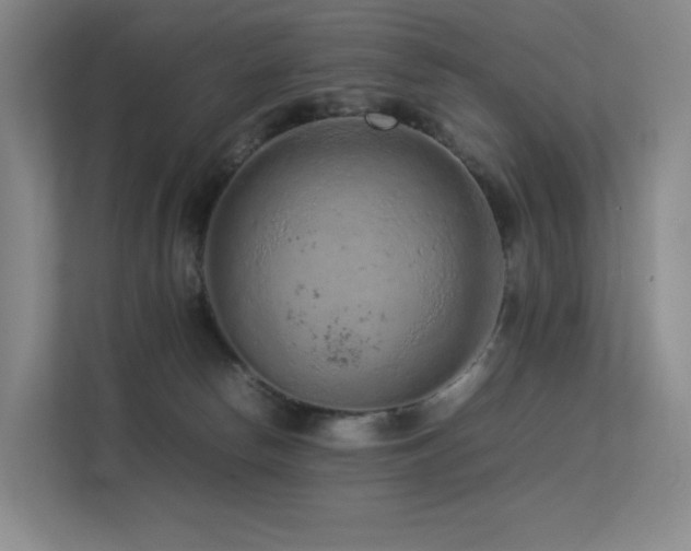 X0000113240178200909101415