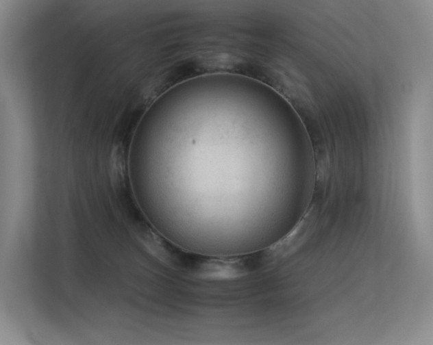 X0000113240179200909101415