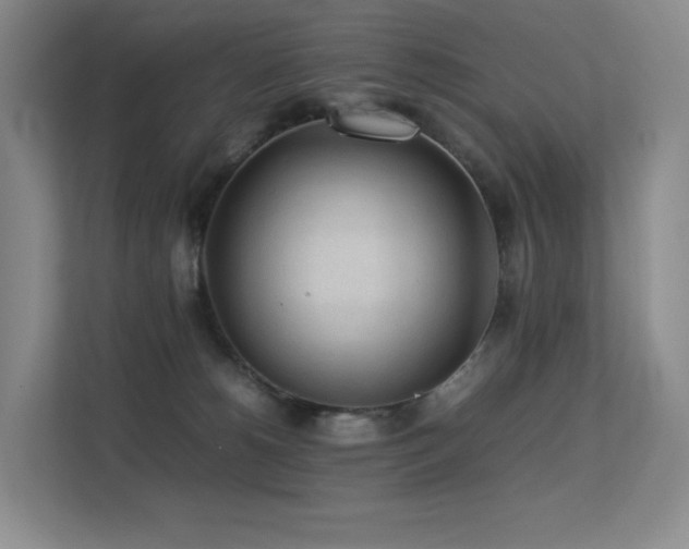 X0000113240180200909101415