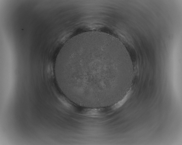 X0000113240182200909101415