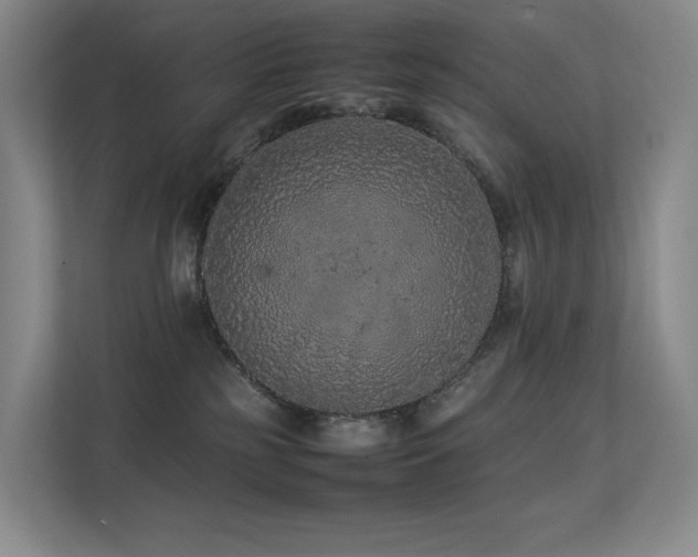 X0000113240185200909101415