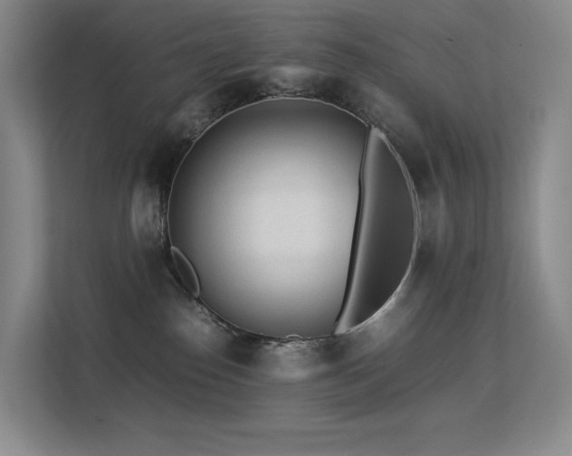 X0000113240186200909101415