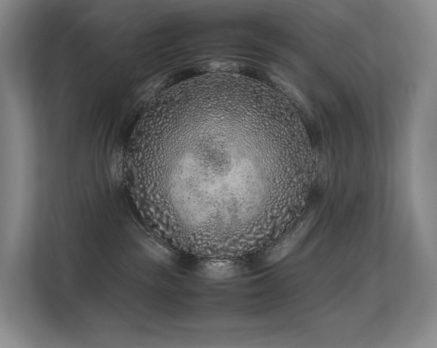 X0000113240189200909101416