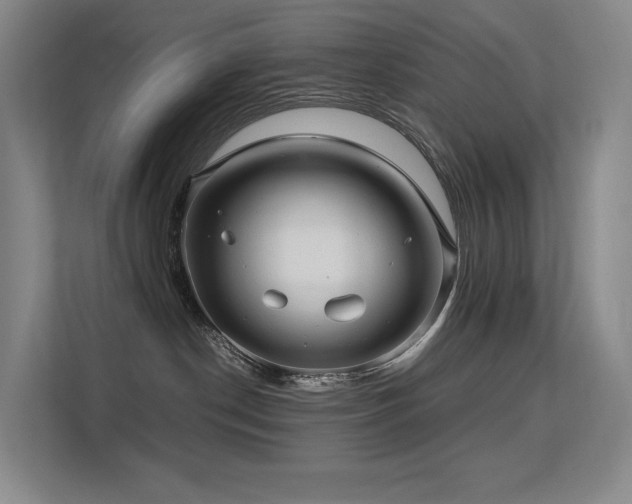 X0000113240190200909101416