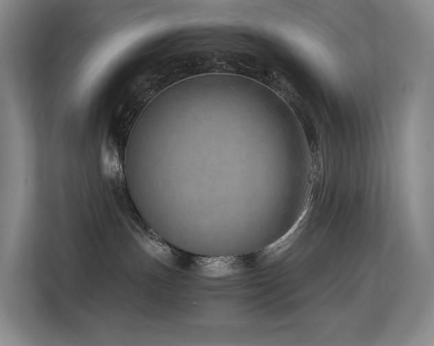 X0000113240191200909101416