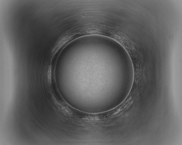 X0000113240194200909101415