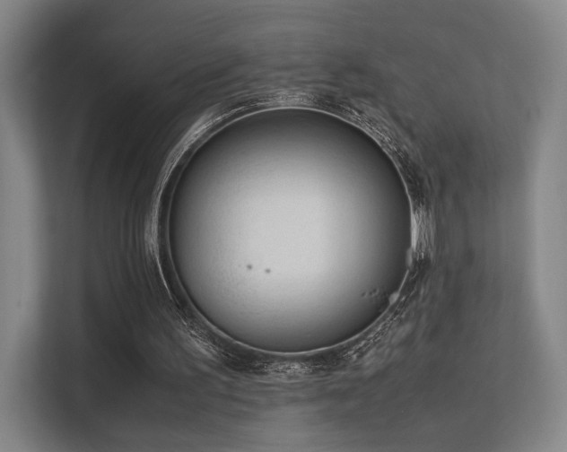 X0000113240195200909101415