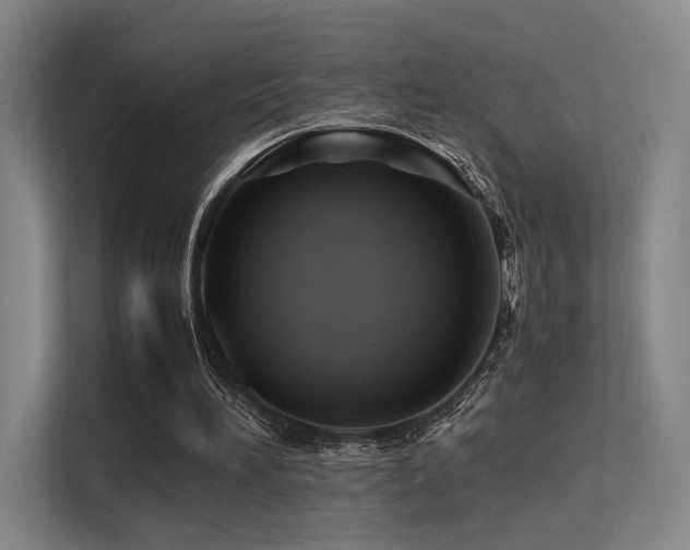 X0000113240196200909101415