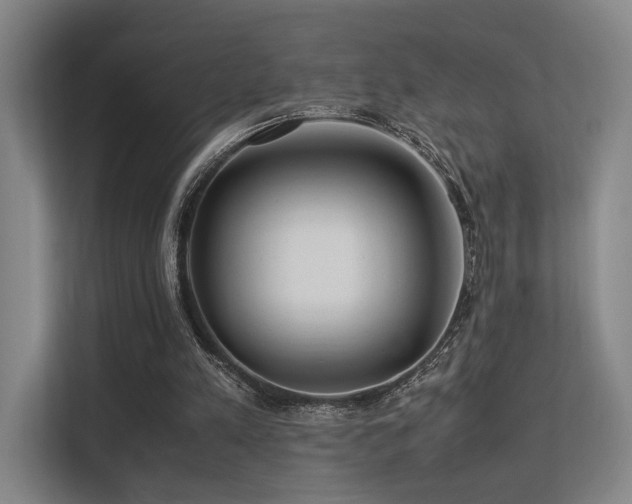 X0000113240197200909101415