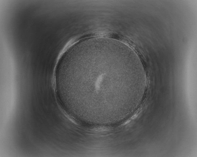 X0000113240198200909101415