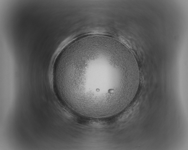 X0000113240199200909101415