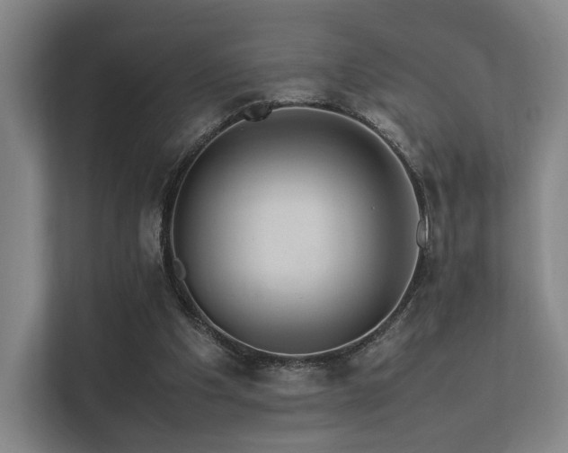 X0000113240201200909101415