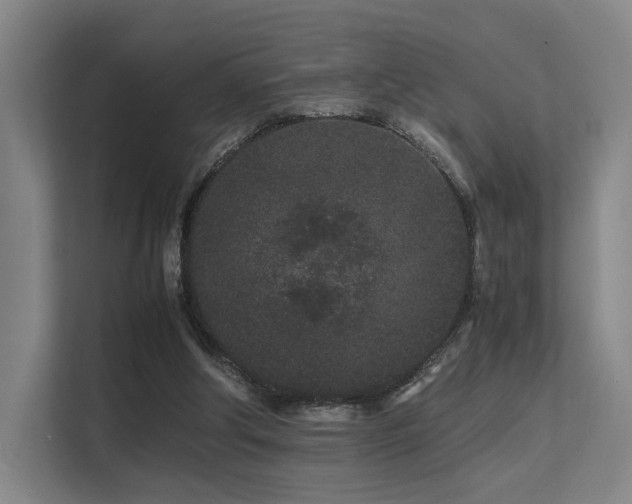 X0000113240202200909101415