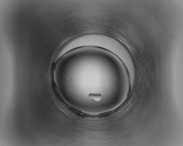 X0000113240203200909101415