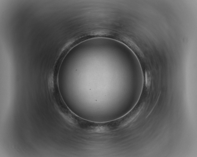 X0000113240204200909101415