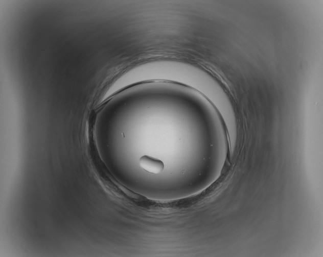 X0000113240205200909101415