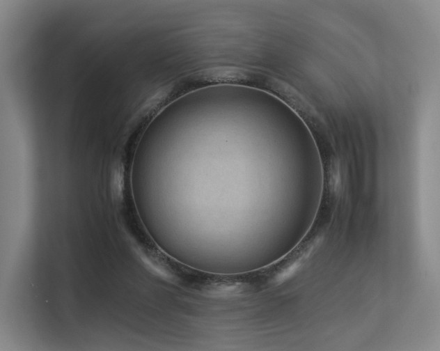 X0000113240206200909101415