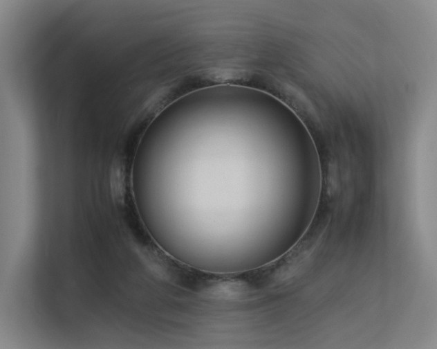 X0000113240210200909101415