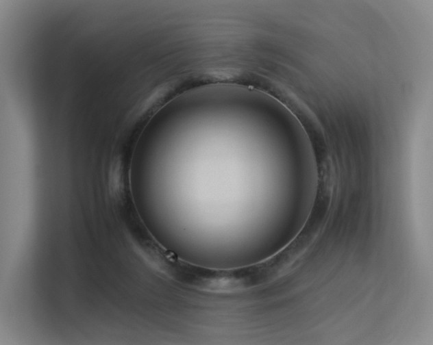 X0000113240212200909101415