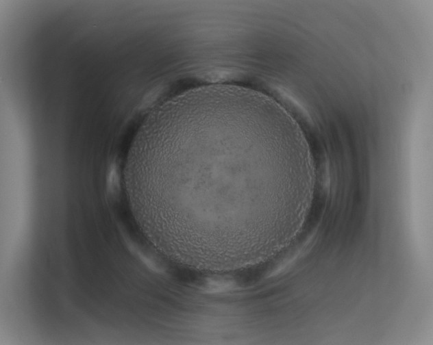 X0000113240214200909101415