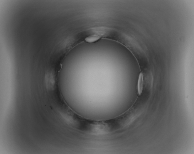 X0000113240215200909101415