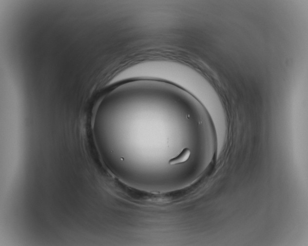 X0000113240217200909101415