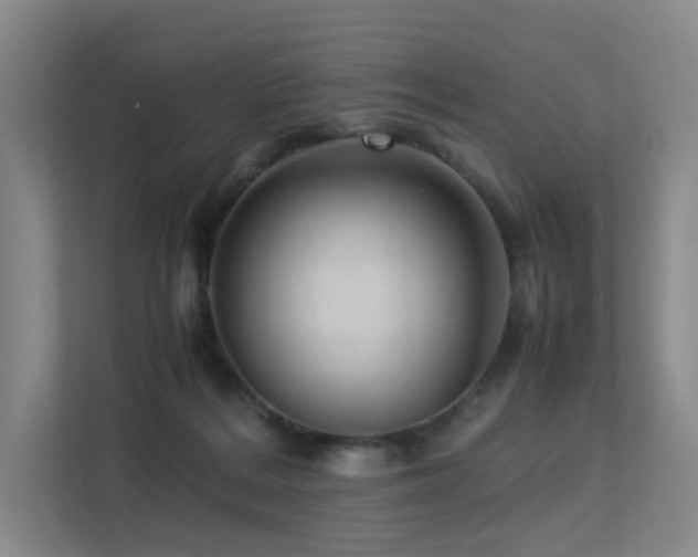 X0000113240220200909101415