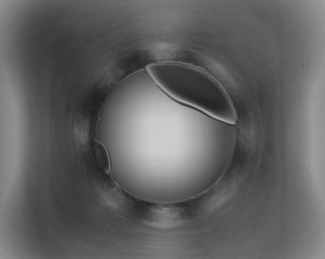 X0000113240221200909101415