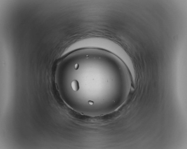 X0000113240223200909101415