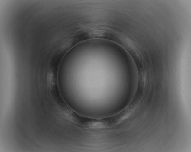 X0000113240224200909101415