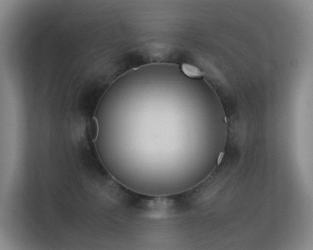 X0000113240225200909101415