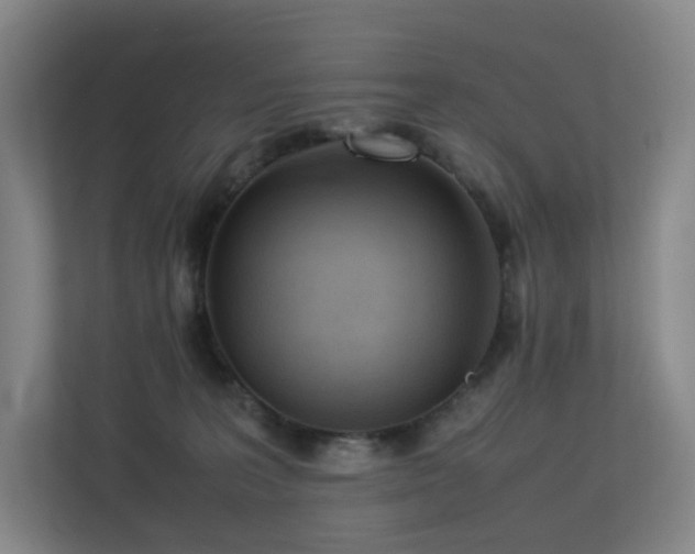 X0000113240227200909101414