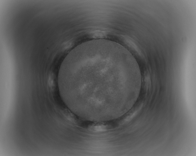 X0000113240228200909101414