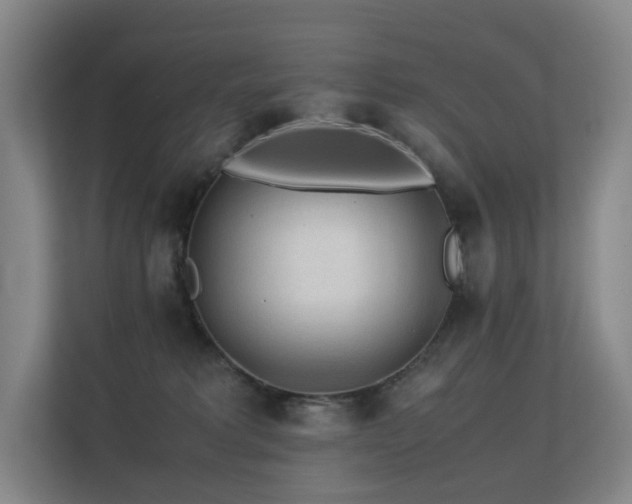 X0000113240229200909101414