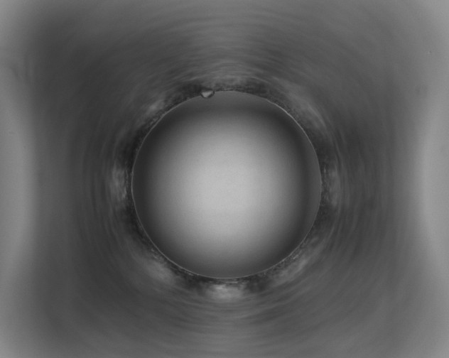 X0000113240232200909101414