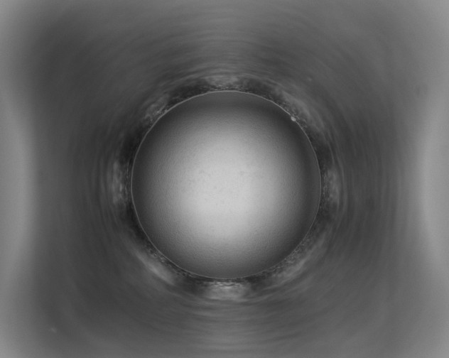 X0000113240234200909101414