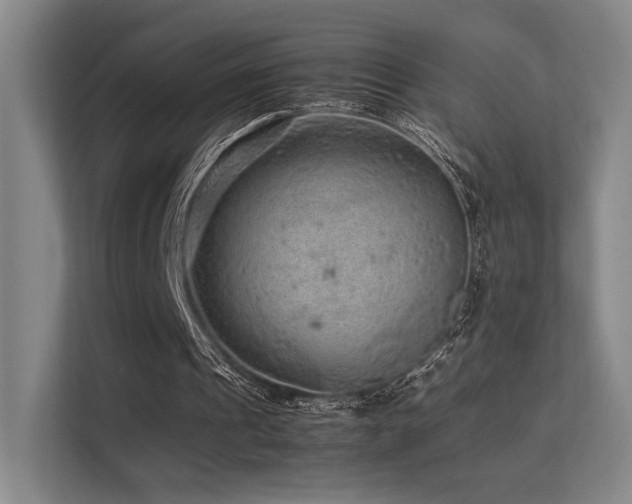 X0000113240241200909101414