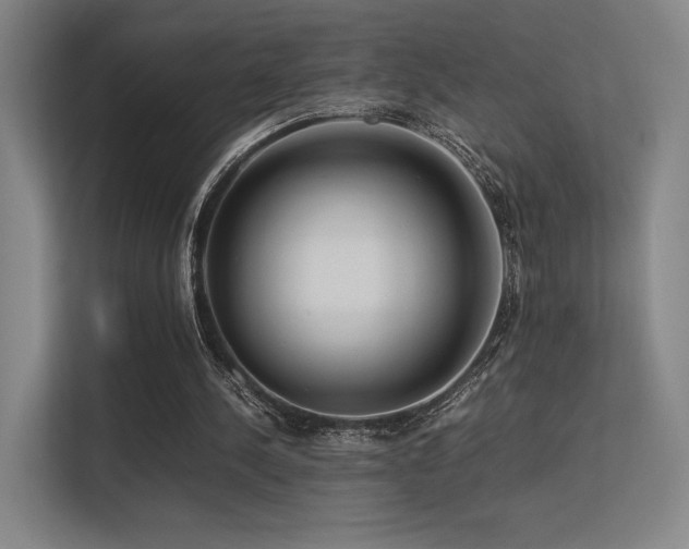 X0000113240244200909101414