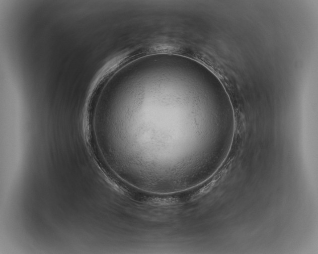 X0000113240245200909101414