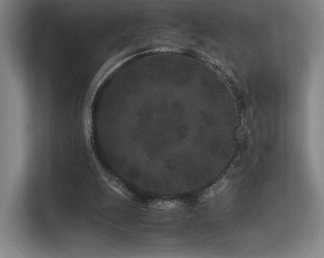 X0000113240247200909101414