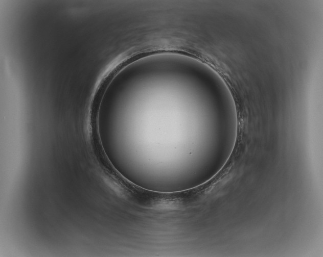 X0000113240248200909101414