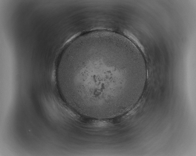 X0000113240249200909101414