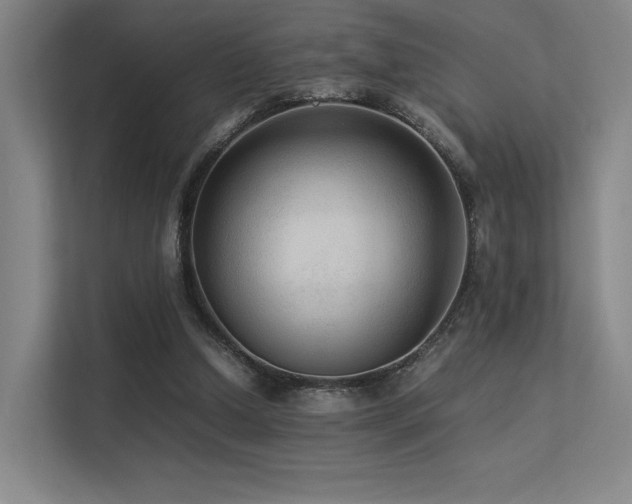 X0000113240250200909101414