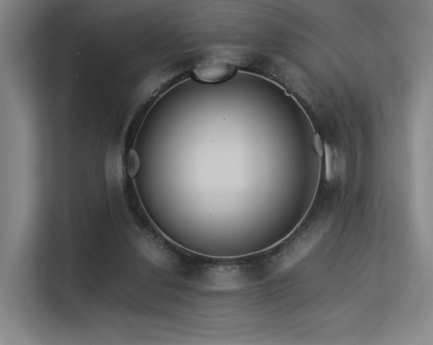 X0000113240252200909101414